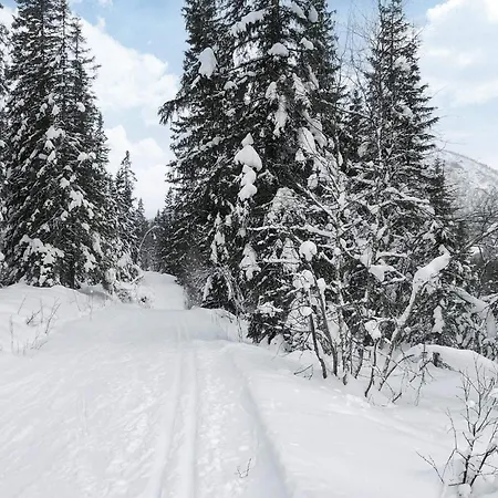 4 Star In Daire Hemsedal