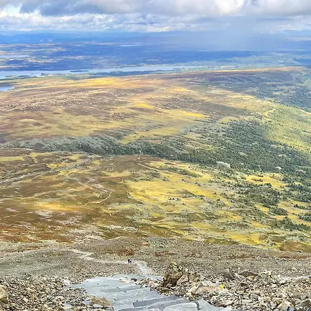 4 Star In Apartment *